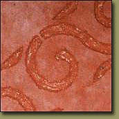 tierrfino stone kalkputz